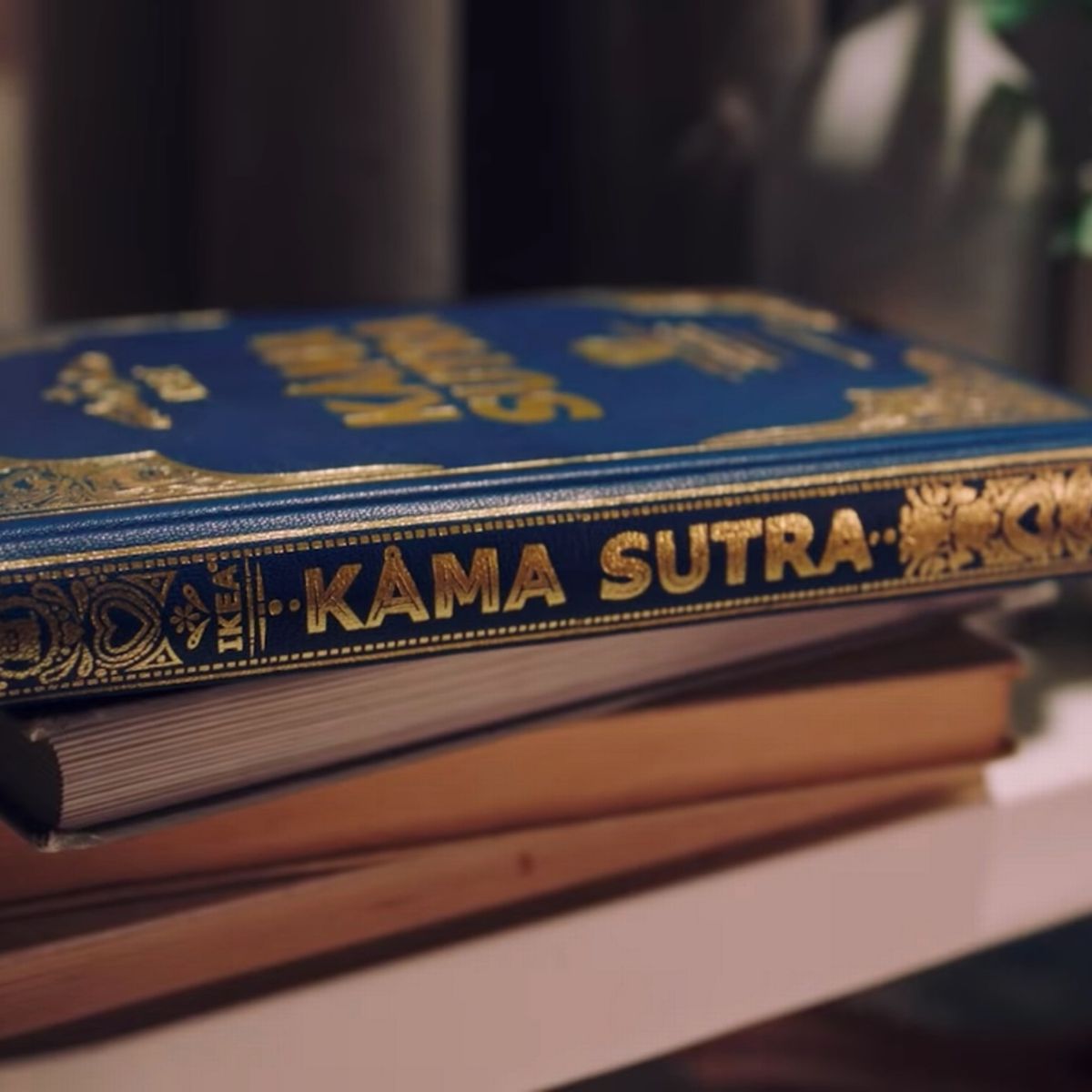 Bella da Semana - 8 melhores posições do Kama Sutra